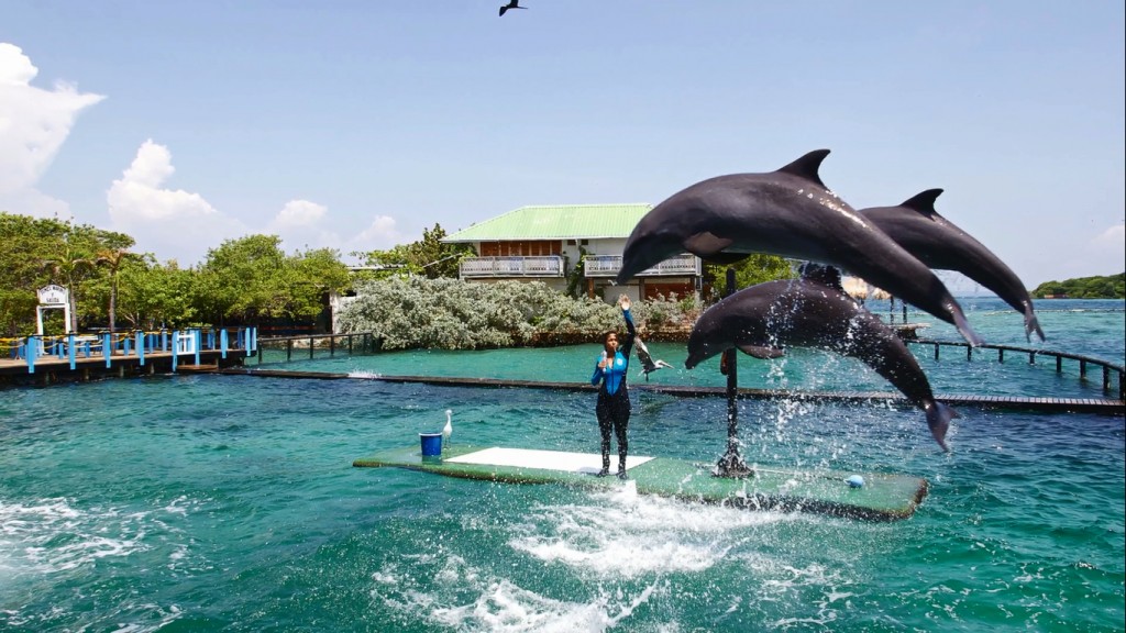 TOUR PANORÁMICO POR ISLA DEL ROSARIO